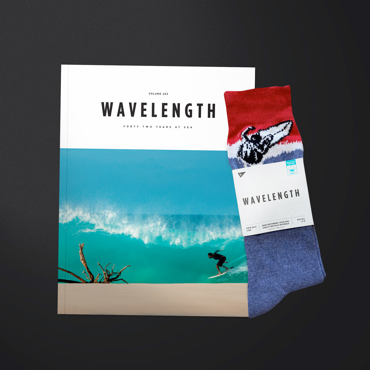 Wavelength x Arvin - Annual Subscription